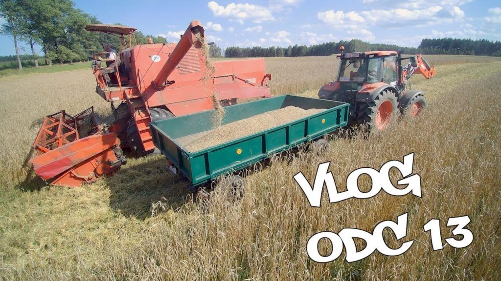 Ostoja Vlog odc 13 – Żniwa prastarych zbóż - orkisz ozimy, 3 hektary, Kombajn Bizon Z056 i Kubota M5